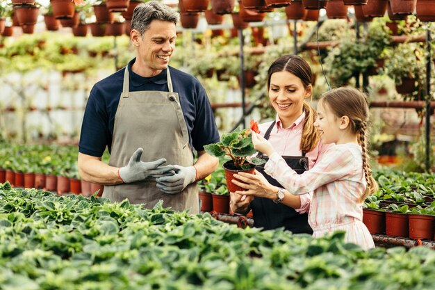 Glückliche Eltern und ihre kleine Tochter kümmern sich um Blumen in der Gärtnerei