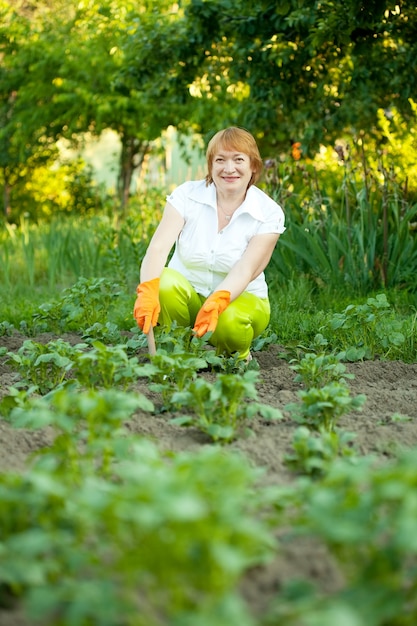 Glückliche Frau arbeitet im Gemüsegarten