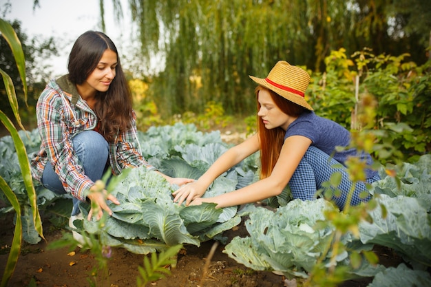 Glückliche junge Familie beim Pflücken von Beeren in einem Garten im Freien. Liebe, Familie, Lebensstil, Ernte, Herbstkonzept.