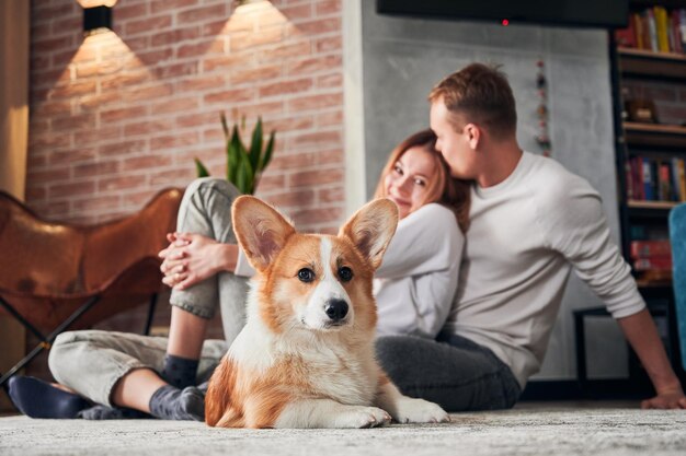 Glückliches junges Paar, das mit süßem Corgi auf dem Boden sitzt