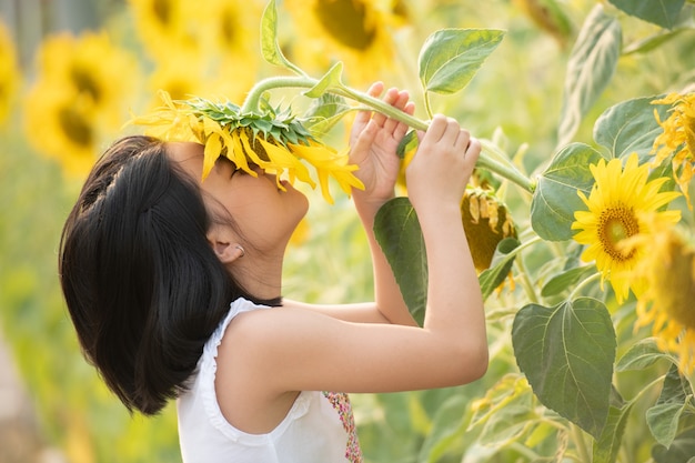 glückliches kleines asiatisches Mädchen, das Spaß unter blühenden Sonnenblumen unter den sanften Sonnenstrahlen hat.