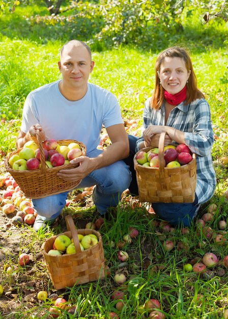 Glückliches Paar mit Äpfeln Ernte