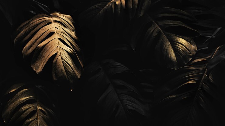 Kostenlose Foto goldene monstera hinterlässt hintergrunddesign-ressource