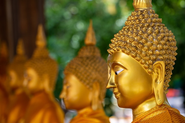 Goldener buddha im tempel