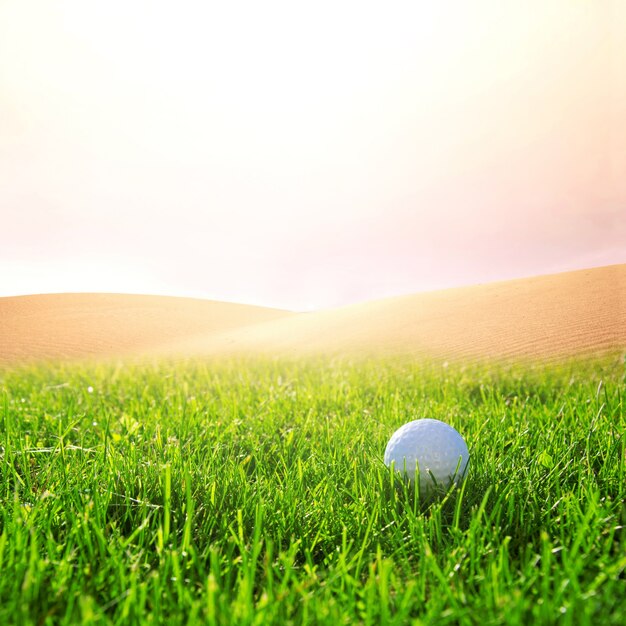 Golfball auf dem Golfplatz.