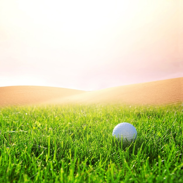 Golfball auf dem Golfplatz.