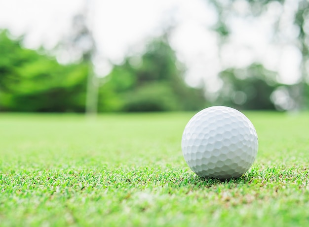Golfball auf Grün mit unscharfem Stift Flaggenstock und grünem Baumhintergrund