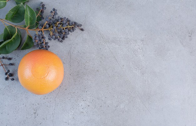 Grapefruit neben dekorativem Zweig mit Beeren und Blättern auf Marmorhintergrund.