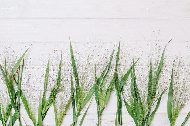 Gras auf hölzerner Tischplatte