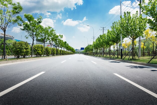 Gras Autobahn Transport bewölkt Baum