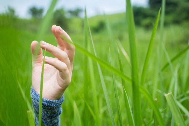 Gras mit den Händen