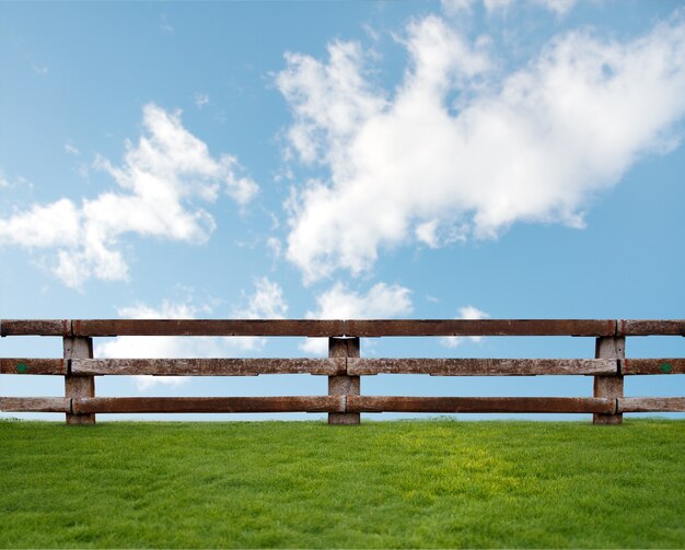 Gras mit Wolken