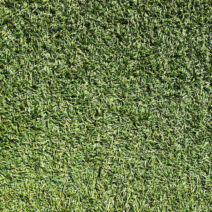 Kostenlose Foto grasbeschaffenheitshintergrund