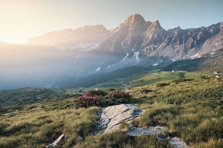 Kostenlose Foto grasbewachsene hügel mit blumen und bergen