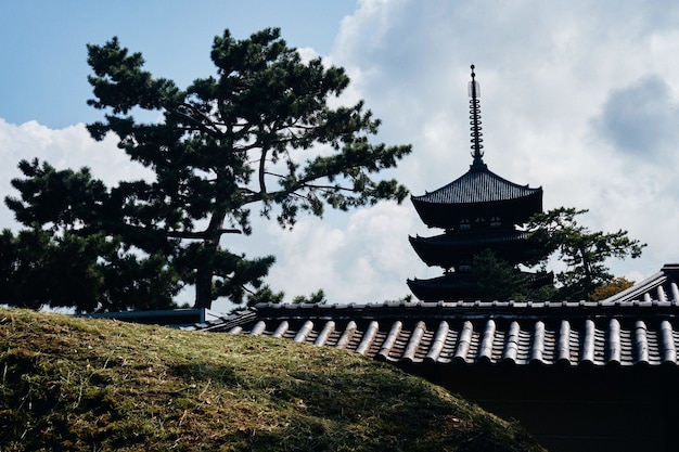 Kostenloses Foto grasbewachsener hügel mit gebäuden im japanischen stil in der ferne