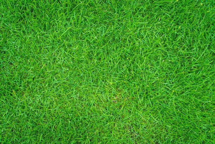 Kostenlose Foto grasfläche