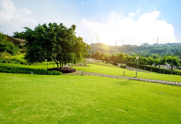 Grasland Landschaft und Greening Umwelt Park Hintergrund