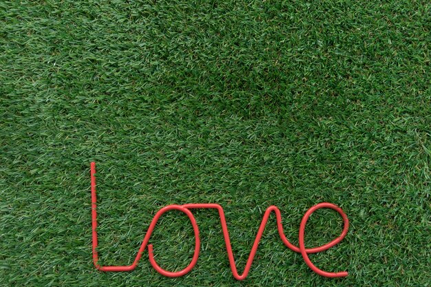 Grass Hintergrund mit Wort Liebe