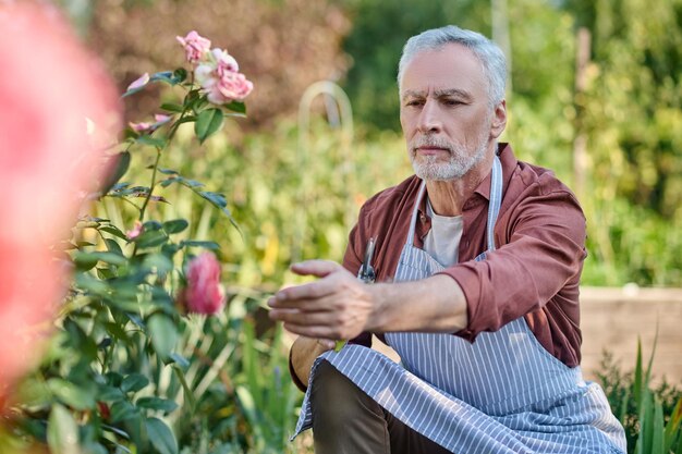 Grauhaariger Mann, der in einem Garten arbeitet und konzentriert aussieht