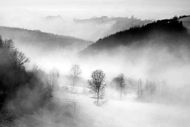 Graustufen von Hügeln bedeckt mit Wäldern und Nebel unter einem bewölkten Himmel in der Langhe in Italien