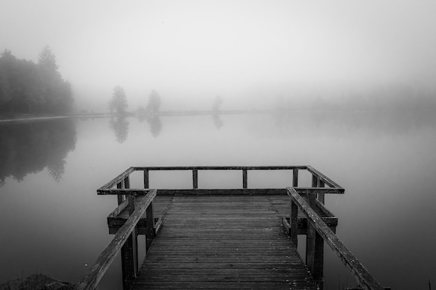 Kostenloses Foto graustufenaufnahme eines hölzernen docks nahe dem meer, umgeben von mit nebel bedeckten bäumen