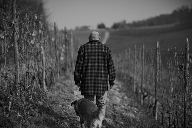 Graustufenaufnahme eines Mannes mit einem Hund, der tagsüber durch einen Weg in einem Feld geht