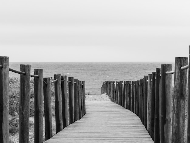 Kostenloses Foto graustufenaufnahme von ausgerichteten holzpfosten auf einer schmalen promenade in ufernähe