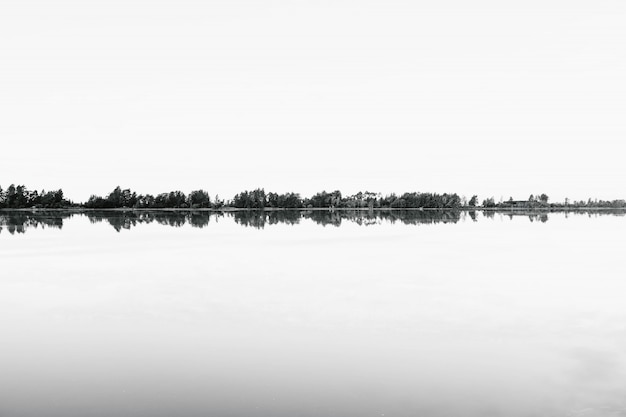 Graustufenspross einer Reihe von Bäumen, die sich im Wasser spiegeln