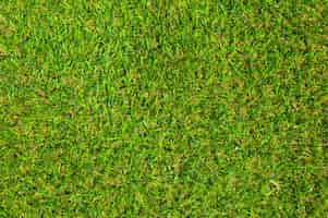 Kostenloses Foto green grass textur hintergrund