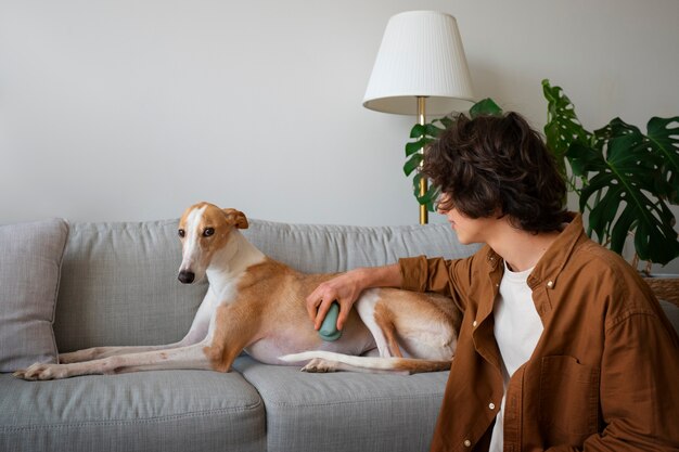 Greyhound-Hund mit männlichem Besitzer zu Hause auf der Couch