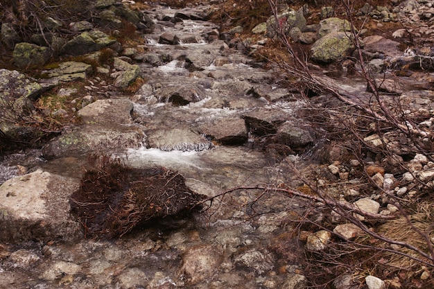 Große Felsen liegen auf dem Fluss irgendwo in den Bergen