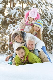 Große glückliche familie, die spaß im schneebedeckten winterpark hat