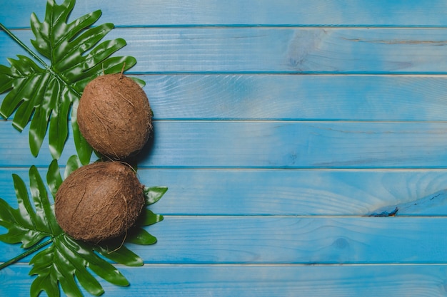 Große Sommerkomposition mit Kokosnüssen und Palmblättern