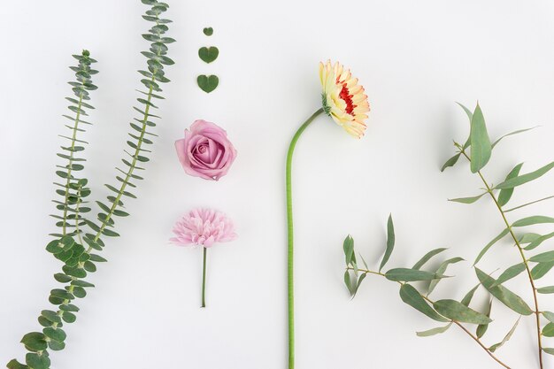 Große Zusammensetzung mit verschiedenen Blumen und Blumenherzen