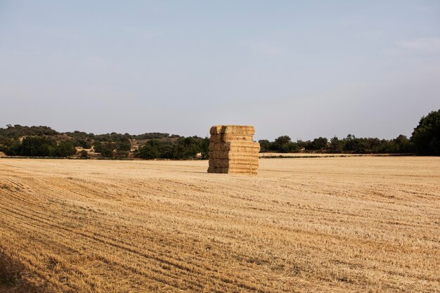 Großer Heuhaufen mitten im Feld auf dem Land