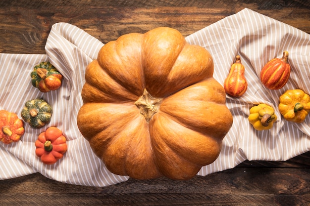 Großer Kürbis der Draufsicht auf gestreiftem Blatt