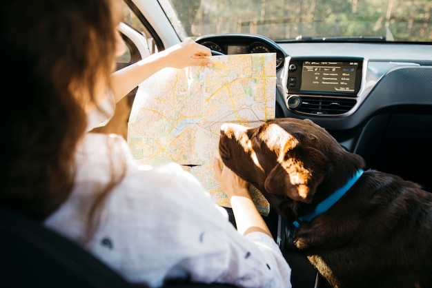 Großer schwarzer Hund im Auto