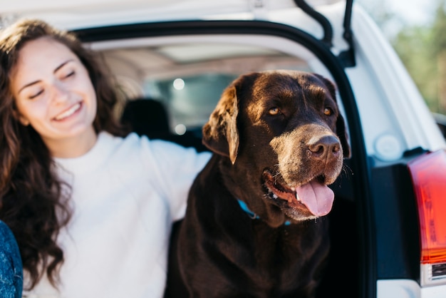 Großer schwarzer Hund im Auto