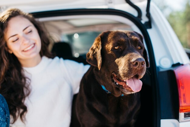 Großer schwarzer Hund im Auto