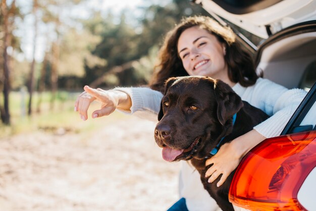 Großer schwarzer Hund im Auto