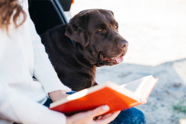 Großer schwarzer Hund im Auto