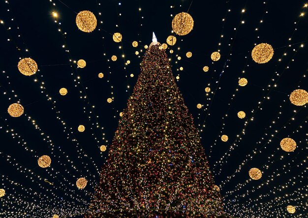 Großer Stadtweihnachtsbaum mit vielen Lichtern