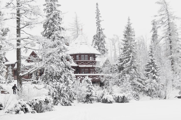 Großes Holzhaus im verschneiten Wald