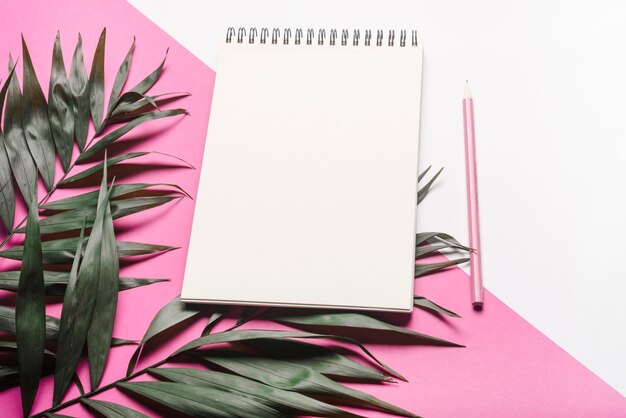 Grün verlässt mit leerem gewundenem Notizblock und rosa Bleistift auf Doppelhintergrund