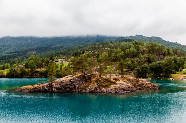 Grüne Bäume über Hügel auf dem blauen See