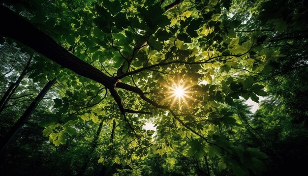 Grüne Blätter leuchten in der von KI erzeugten Naturschönheit im Sonnenlicht