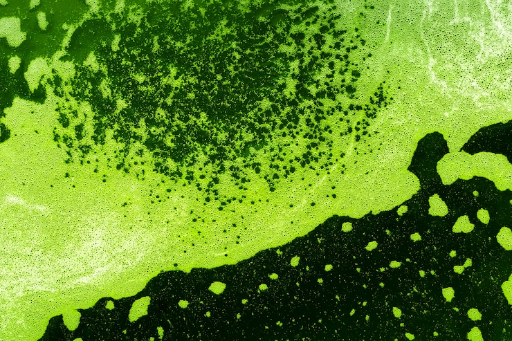 Kostenlose Foto grüne flüssigkeit mit schaum und blasen