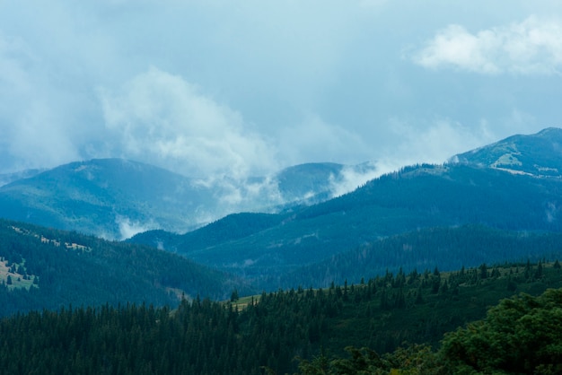 Grüne Gebirgswaldlandschaft