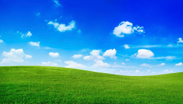 Grüne Hügel mit blauem Himmel.