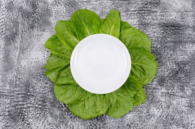 Grüne Kopfsalatblätter unter leerer weißer Platte
